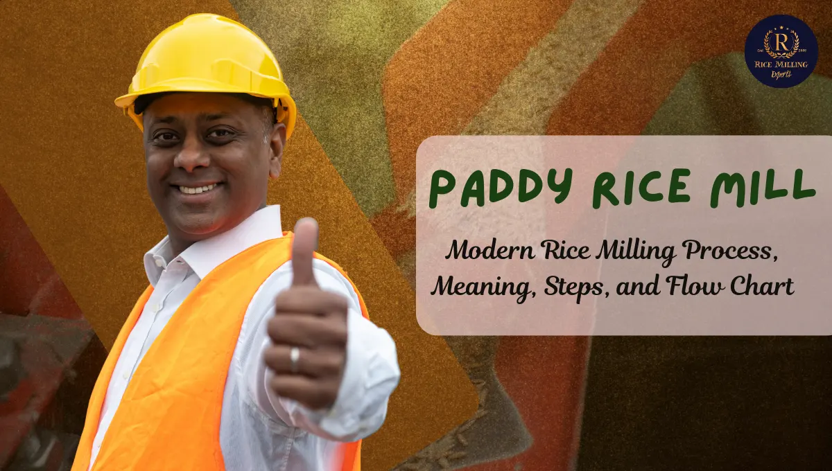 Paddy Rice Mill