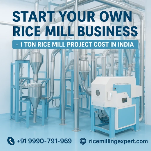 1 Ton Rice Mill Project Cost