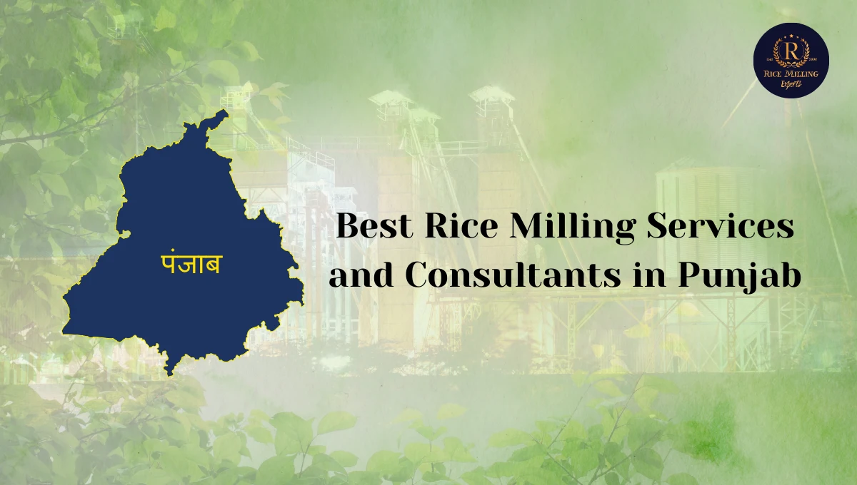Best Rice Milling Services in Punjab