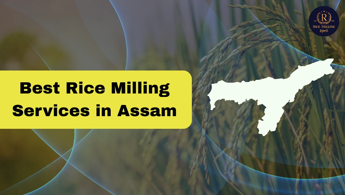 Rice Milling Services in Assam