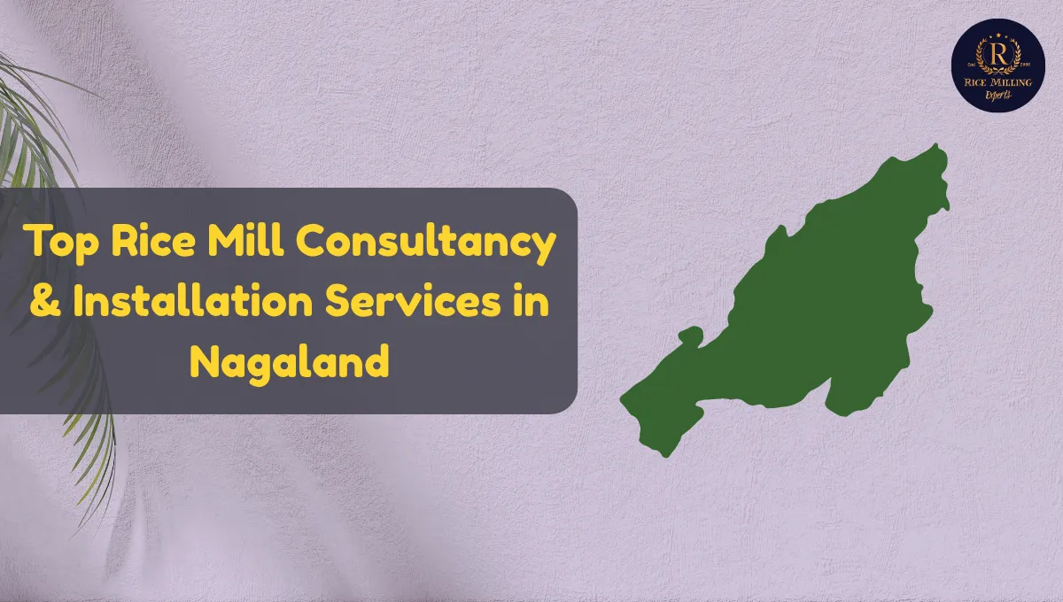 Rice Mill Consultancy in Nagaland