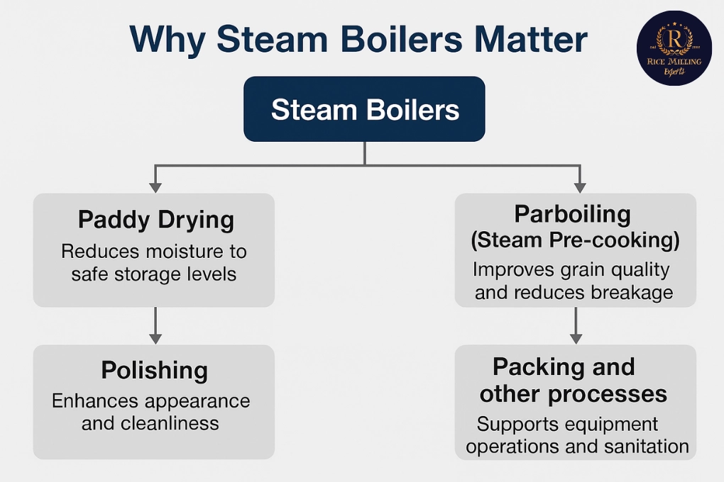 Why Steam Boilers Matter Flow Chart