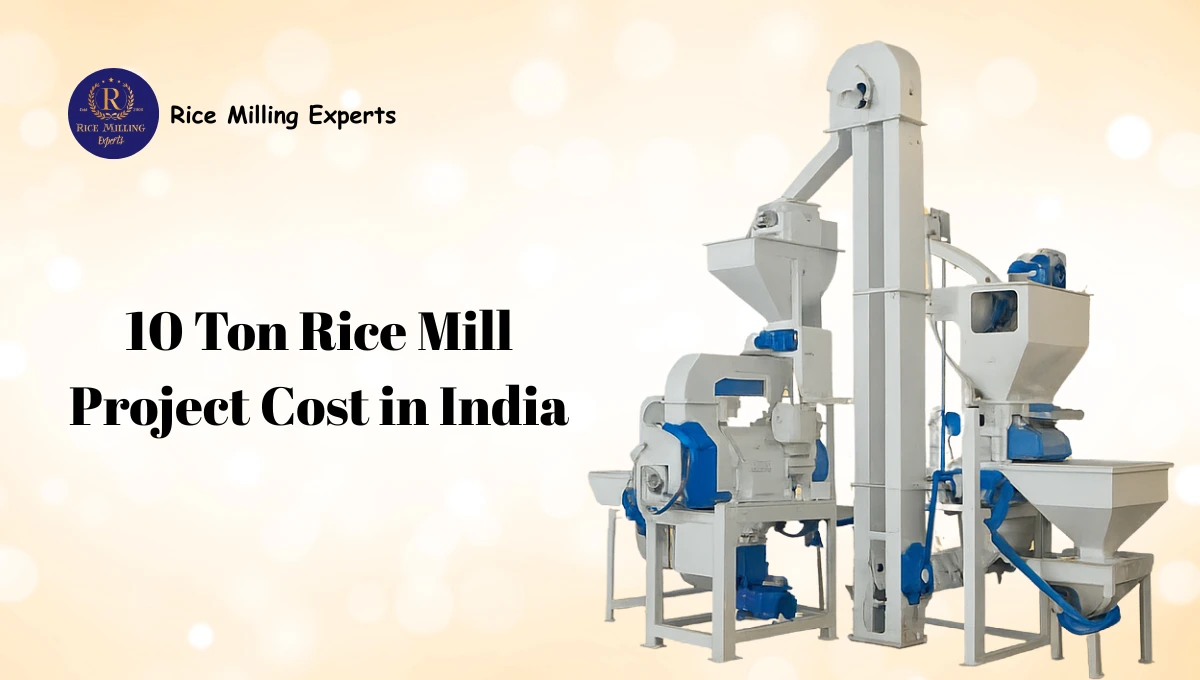 10 Ton Rice Mill Project Cost